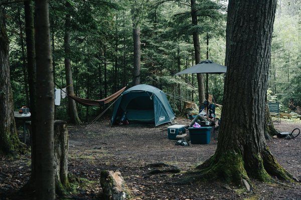 Découvrez Tout sur le Camping en Famille avec Animaux de Compagnie: Guide Essentiel et Astuces